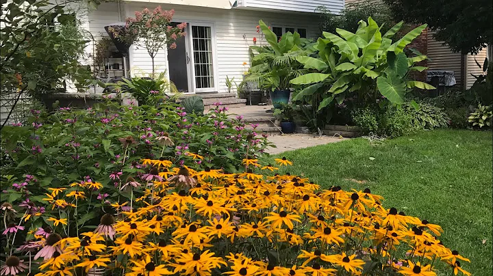 Tropical Garden Walkthrough (Silent) 2017 | The Barefooted Gardener