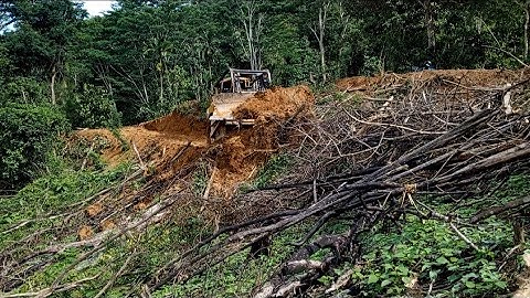 BULLDOZER D6R XL cuts hills to create new mountain oil palm plantation terraces