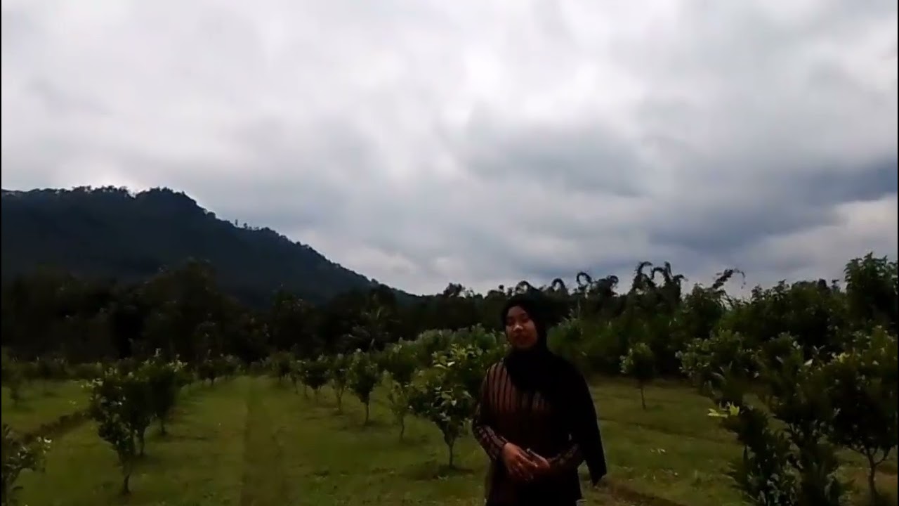 TUGAS PRAKTEK NEMBANG ( KIDUNG WAHYU KOLOSEBO) 