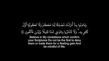 سورة البقرة كروما من اية 38 الى 48 (Surah Al-Baqarah, from verse 38 to 48.) للقارئ ياسر الدوسري