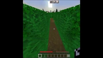 Impossible Minecraft Puzzle Part #3 #shorts