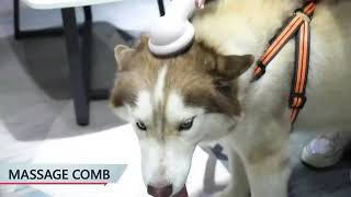 Пылесос для груминга, для стрижки и ухода за домашними животными