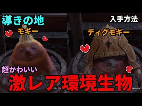 Mhw I 導きの地に現れる超激レア環境生物その名も モギー ディグモギー 入手方法 注意事項なども Youtube