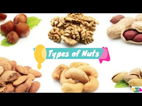 Different Kinds of Nuts - Almonds, Cashews, Walnuts, Hazelnuts, Peanuts, Pecans | Food Top Benefits