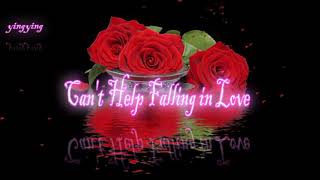 Can't Help Falling in Love 情不自禁愛上你 / Boyce Avenue [ 中英歌詞 ]