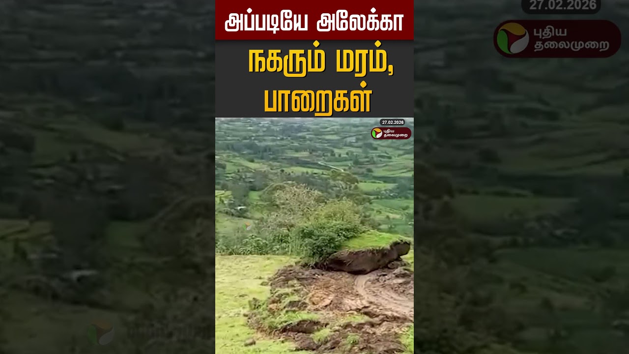 அப்படியே அலேக்கா நகரும் மரம்,பாறைகள் #shorts