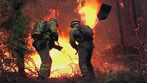 Deadly forest fires sweep across Portugal and  northern Spain