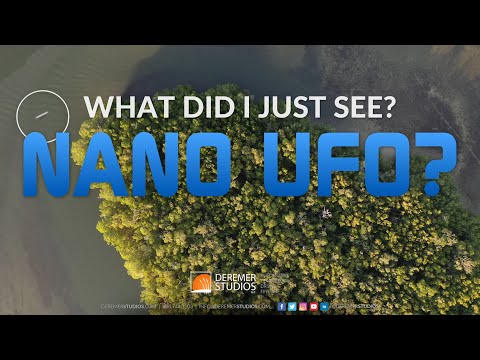 Video: Un UFO Verde Traslucido è Apparso Sulla Costa Orientale Della Florida - Visualizzazione Alternativa