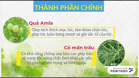 Thành phần kì diệu của quả Amla