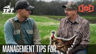 Management Tips for Wild Turkeys