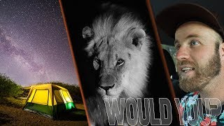 Would YOU Wild Camp with LIONS and ELEPHANTS??