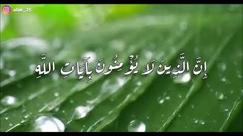 سورة النحل - عمر عبدالعزيز