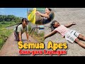 KEJAR LAYANG-LAYANG JADI APES | DRAMA MARSYA