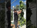 #popular #funny