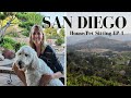 We are House 🏘 / Pet 🐩 Sitting in Sunny San Diego ☀ Travel Vlog Ep 1 (#32)