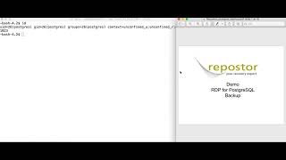 Information RDP Demo Postgres backup News