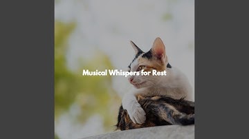 Scintillating Music for Open Work Floors