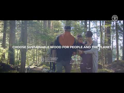 International Day of Forests 2022 - Forests and sustainable production and consumption