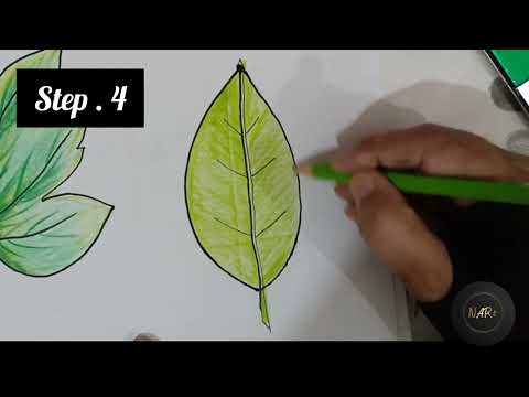 How to draw a simple leaf step by step by #paintwithnart #botanicalart #leafdrawing