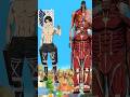 Levi vs all Titan #anime #levi  #shorts #attackontitan