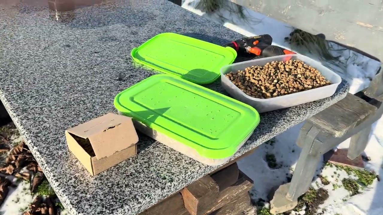 Як зберігати кокони комах Osmia?