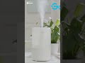 Govee Smart WiFi Humidifier for Baby and Plants #shorts