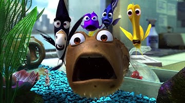Top 5 Finding Nemo Movie Mistakes