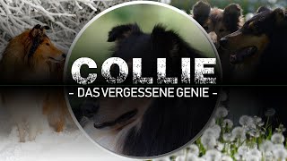 Collie das vergessene Genie