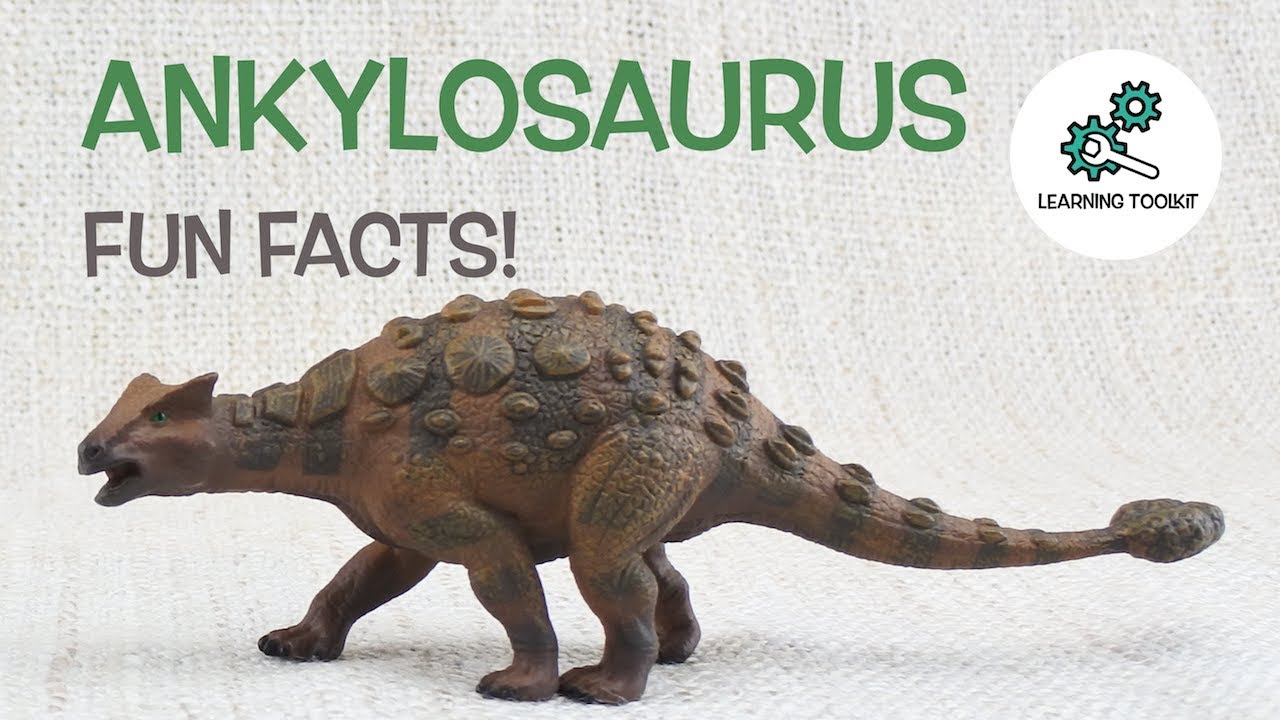 Ankylosaurus Facts! | Fun  Educational | For Kids | Best Dinosaur Facts