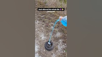 I Put This Snake On To Gatorade 🔥