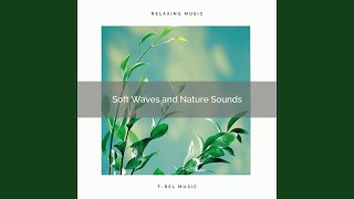 Welcome Soft Sea Noises and Nature Music for pt. 1 screenshot 1