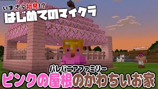 【 初見マイクラ #12 】冒険！村人を集めて常夏村に招待したい！！【 めまいパレード / 羽合アン / 桃野トリ / 個人勢VTuber / minecraft 】