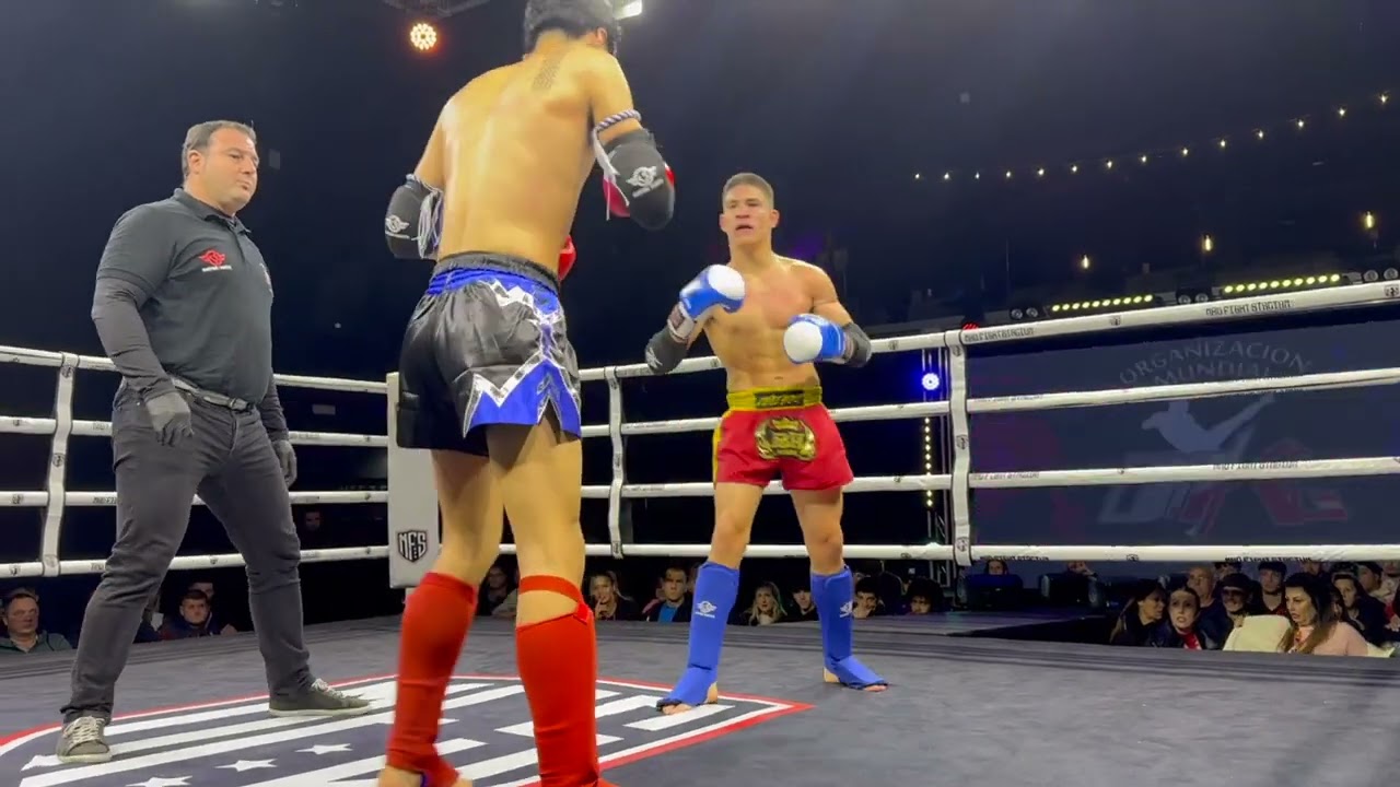 Alexander Romero Vx Ye Qishuo 