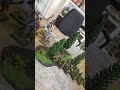 🔥WARHAMMER THE OLD WORLD CULTO DE MATADORES VS BRETONIA🔥 #painting #miniature #viral #fyp #foryou