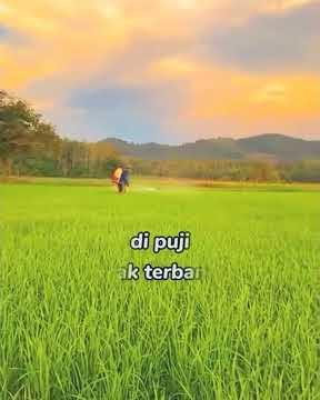 Terlalu letih