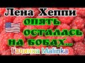 Лена Хэппи /Опять осталась на бобах //Обзор Влогов //