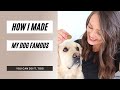 How I Made My Dog TikTok Famous | Part 1