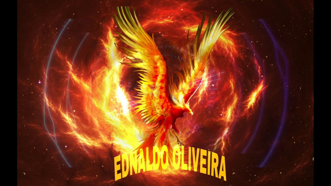 Alan Walker 🎶 Euphoria 🎶 Agus Vallejos 🎶 edm (música eletrônica) 