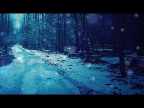 القارئ اسلام صبحي و ذا النون