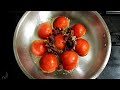 Tomato pulihora  quick and tasty rice dish  south indian lunch recipe