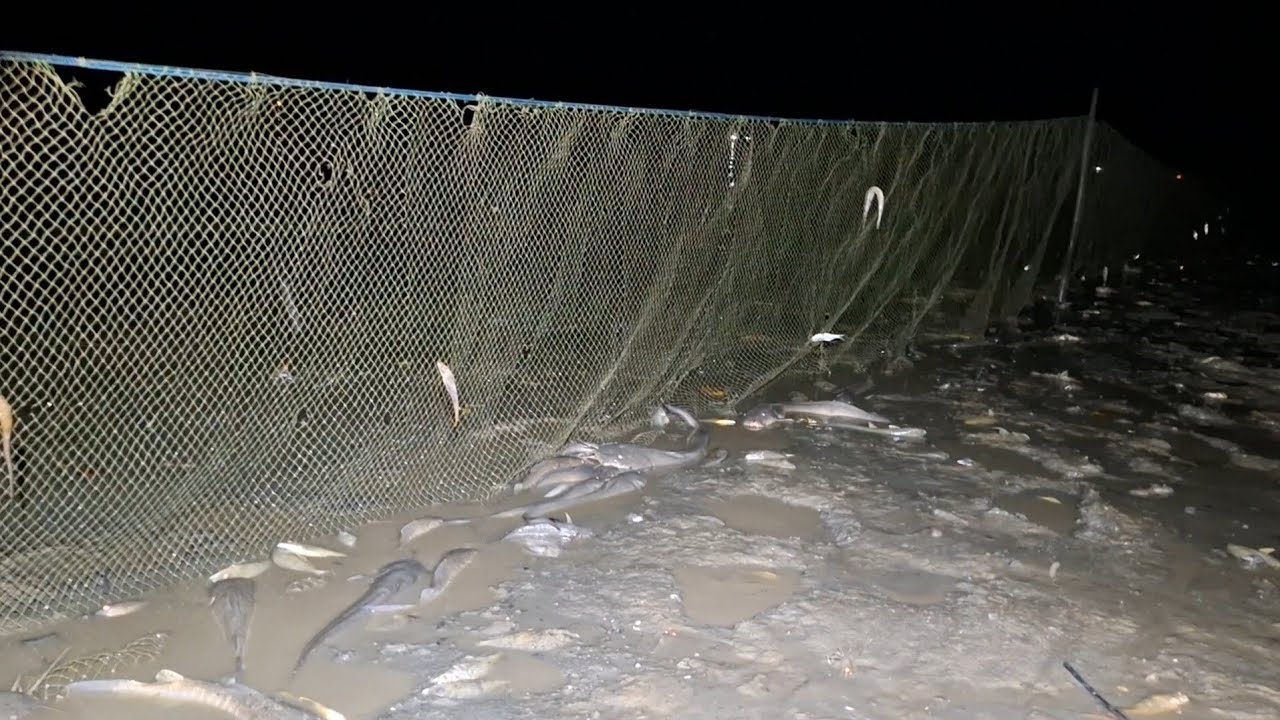 LUAR BIASA HASIL NYA PASANG PUKAT HAMPANG