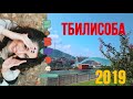 ТБИЛИСОБА 2019 - Как грузины празднуют день города? - TBILISOBA 2019