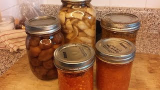 Home Canning Made Simple — FIN IRENE FARM