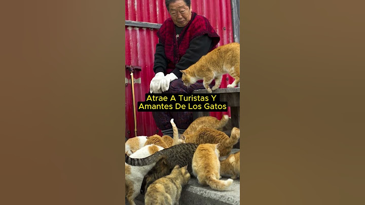 En JAPON Hay Una ISLA Con Mas GATOS Que PERSONAS!! 😱🥰 #datosasombrosos #curiosidades