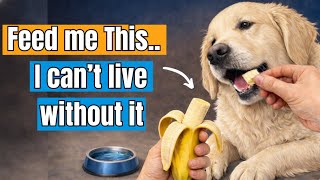 21 Human Foods That Instantly Make Your Dog Healthier… And Vets Don’t Want You To Know