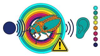 If a May beetle keeps appearing in your garden, this is what it means