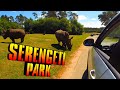 Ein Tag im Serengeti Park Hodenhagen