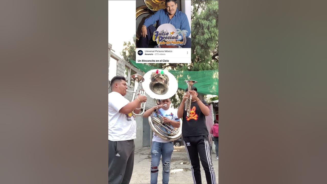 Un rinconcito en el Cielo Adornos Tuba y armonía 🔥 Un rinconcito en el Cielo Adornos Tuba y armonía 🔥