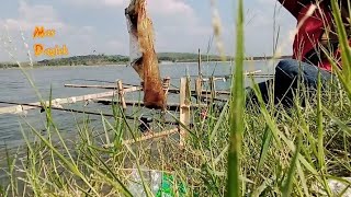 STORY WA mancing