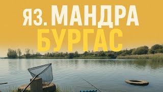 картинка: ШАРАНЧЕТА И КАРАКУДИ НА МЕТОД ФИДЕР 🎣